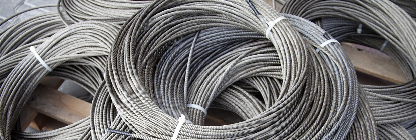 肉類食品檢測指標(biāo)及檢測標(biāo)準(zhǔn)