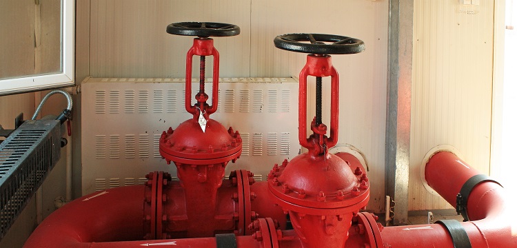 微生物安全健康網(wǎng)，微生物檢測如何規(guī)范操作 ?在微生物檢測實(shí)踐中，什么時(shí)候需要檢測參考菌群 參考菌群的檢測有何意義 ?健明迪