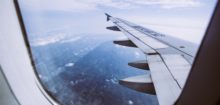 AAV注射誘導恒河猴多系統萎縮模型