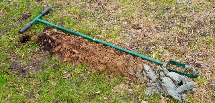 大豆凝集素檢測(cè)