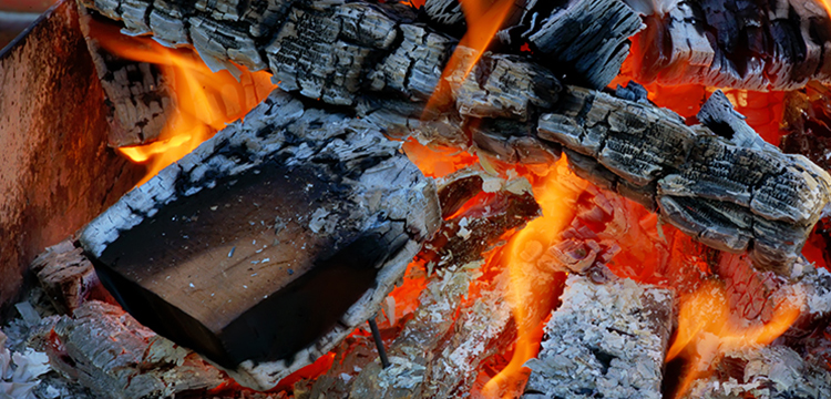 多溴聯(lián)苯檢測