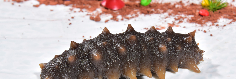 獸藥殘留檢測(cè)