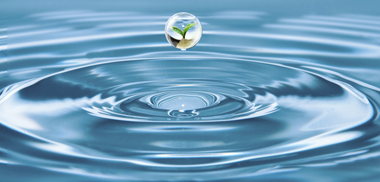 羥甲基糠醛檢測(cè)