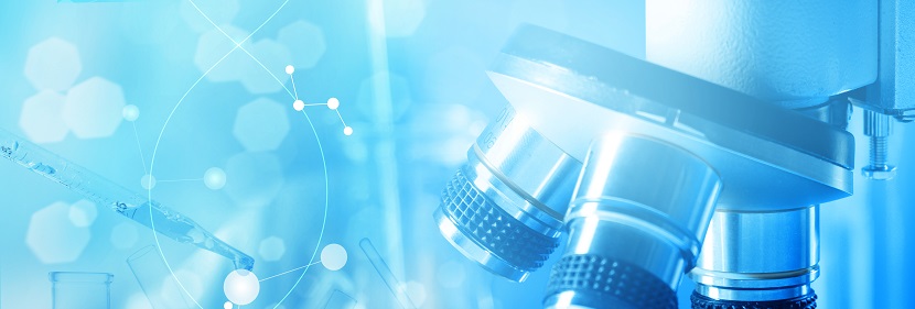 膠合板檢測(cè)