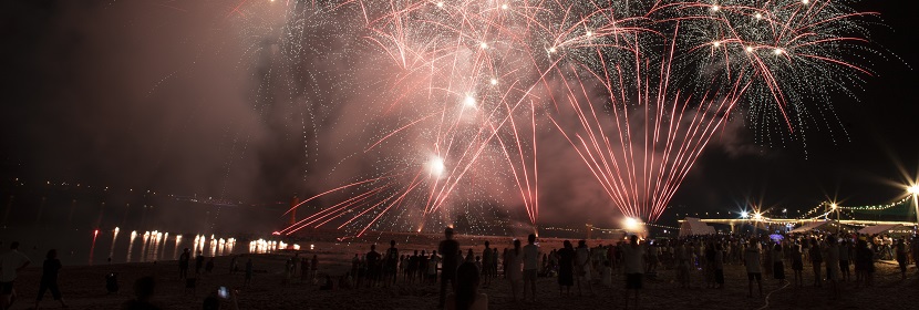 煙花爆竹產品-九大類、煙花爆竹藥劑檢測