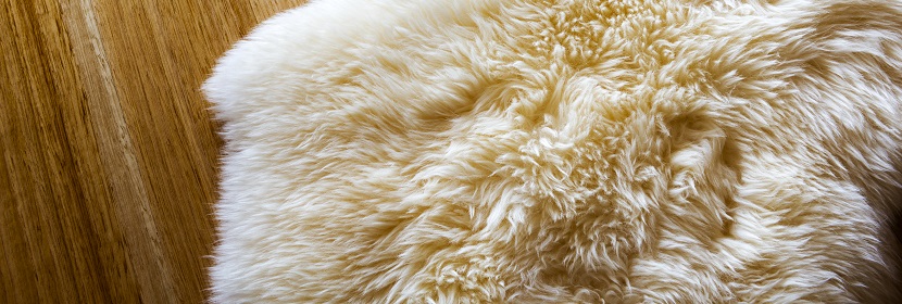 毛皮檢測