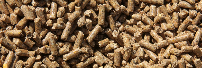 魚(yú)粉檢測(cè)