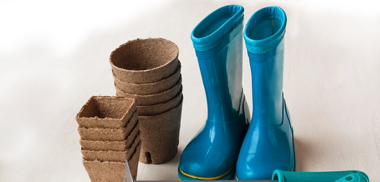 腦立體定位注射實(shí)驗