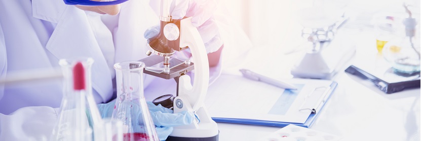 雙側外耳缺失伴發外耳道閉鎖豬模型