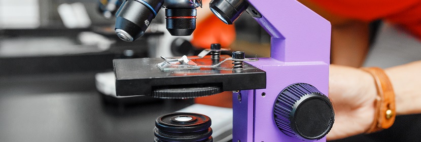 SEM能譜檢測(cè)