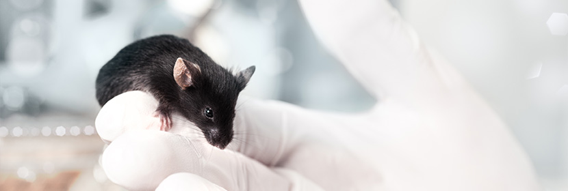 急性經(jīng)口毒性試驗(yàn)