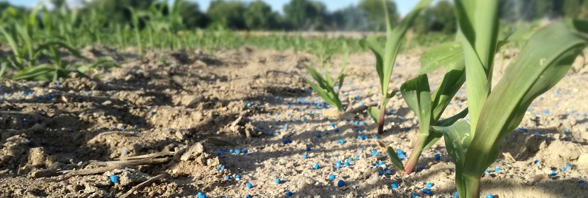 無(wú)機(jī)包裹型復(fù)混肥料檢測(cè)