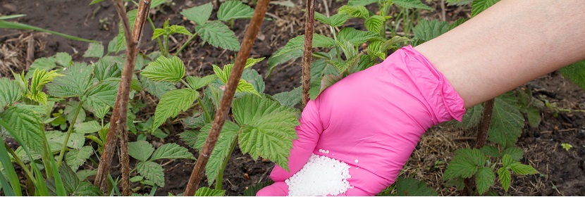 控釋氮肥檢測(cè)檢測(cè)