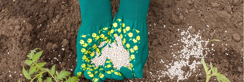 控釋復(fù)混肥料檢測(cè)