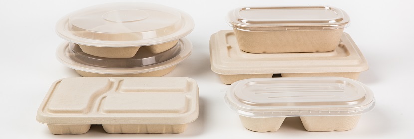 一次性餐盒檢測(cè)