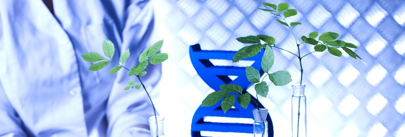 海藻酸復合肥料檢測