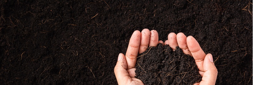 含腐植酸尿素檢測