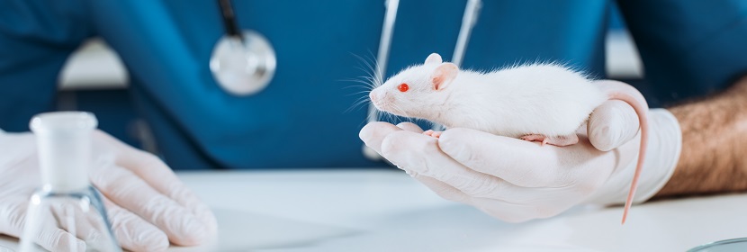 手消毒劑致突變?cè)囼?yàn)