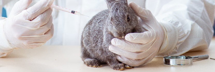 黏膜消毒劑一次陰道黏膜刺激試驗（偶爾用）