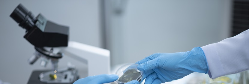 熱塑性EVA膠膜檢測(cè)