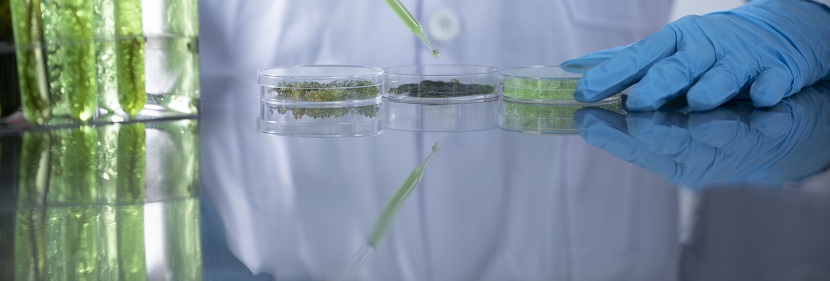 離合器用橡膠氣胎檢測(cè)